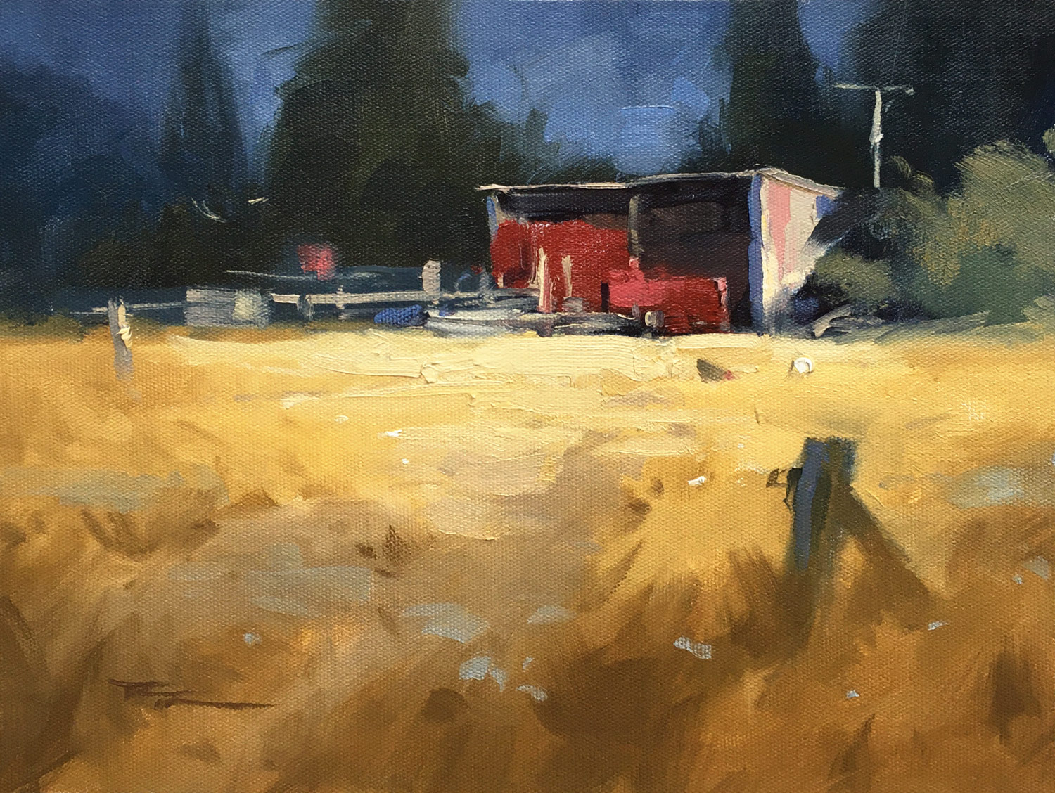 Critiques for Rustic Farm Shed