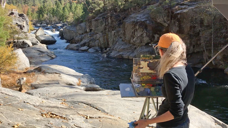 Capturing the Light Student Critiques