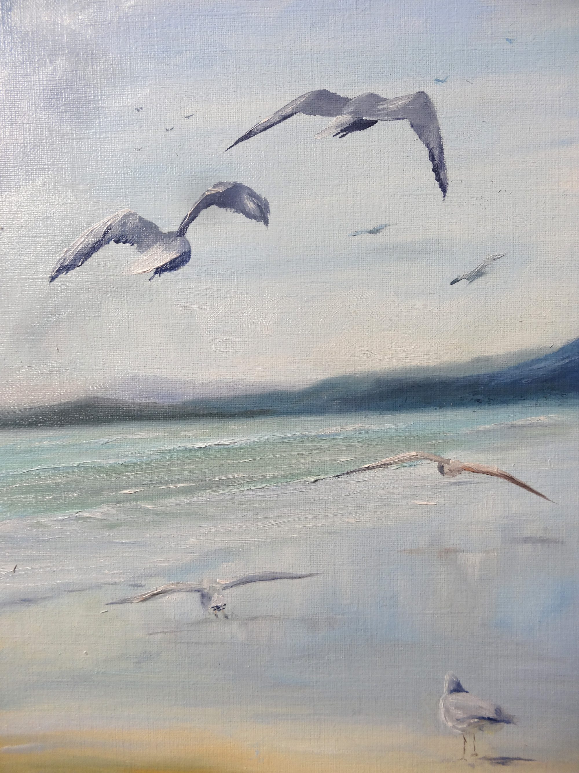 Seagulls, Online Painting Lessons