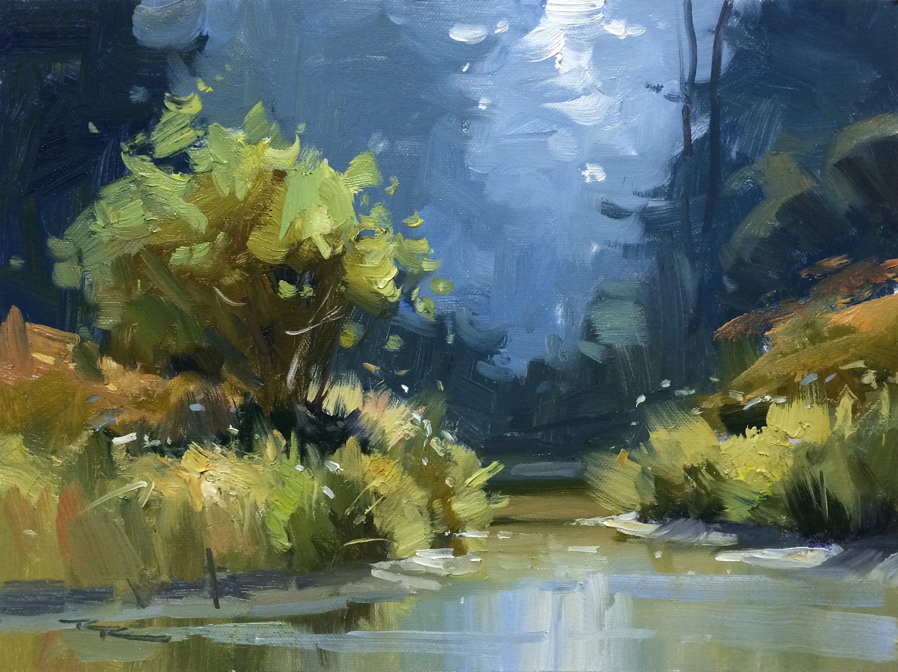 https://mypaintingclub.com/images/lessons/large/81_5958_Up_the_Creek.jpg