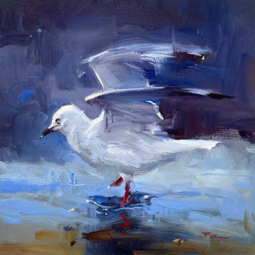 The Dancing Seagull