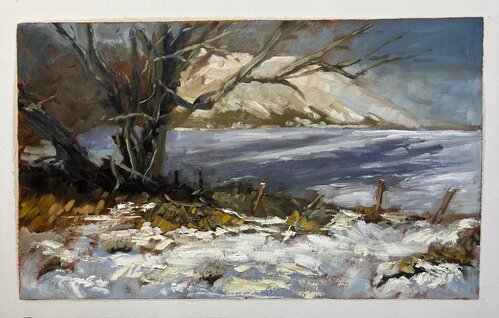Winter scene on canvas 20 x 12 inches