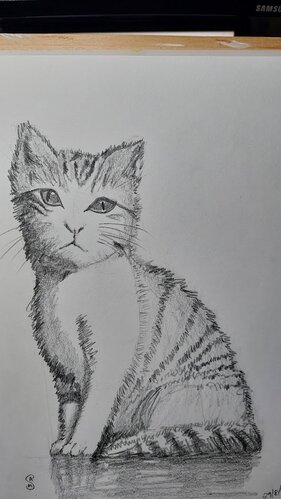 Real Drawing 2 - Kitten
