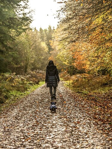 I am not able to continue for the forest floor path of fallen leaves and the image of the person, the painting is only on the initial stage but I don’t know how to continue