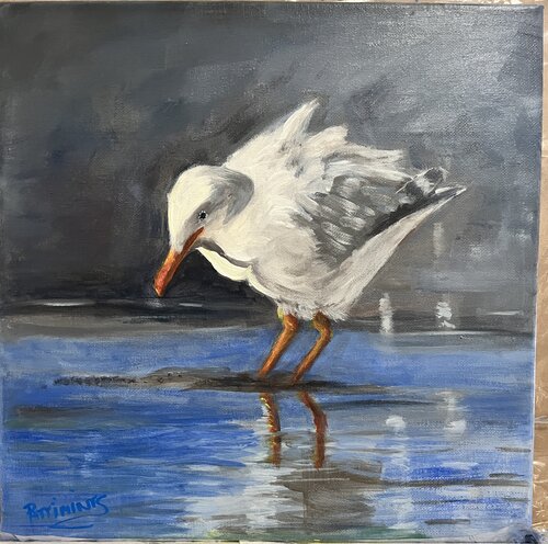 Jonathan Seagull /Patti Douglas 