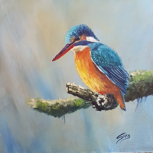 Kingfisher by Sharon Pearce