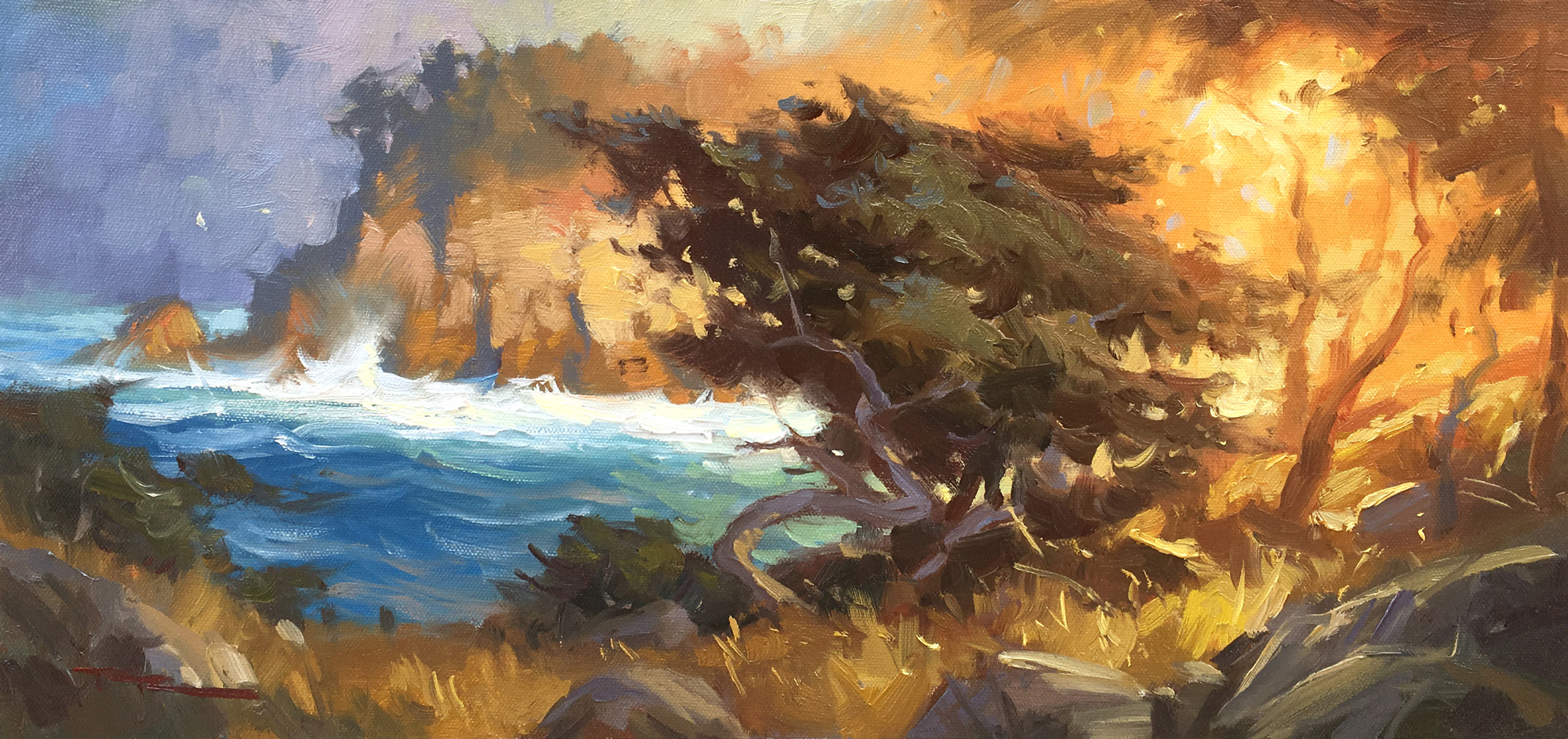 Point_Lobos_demo